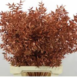 Ruscus Wild Brillantina Cobre 70cm "T25"