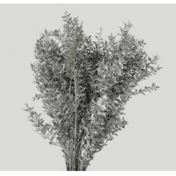 Ruscus Wild Brillantina Silver 70cm "T25"