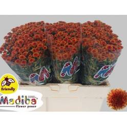 Santini Mad.Tyolo Orange 1200gr "T25" Nj