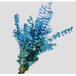 Eucalipto Cinerea Nacional Pintado Azul