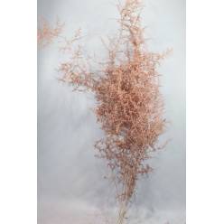 Esparraguera Silvestre Pintada Cobre 120cm "T25"