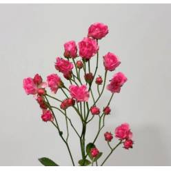 Ramificada Gypsy Rose 60cm "Flor Mini"