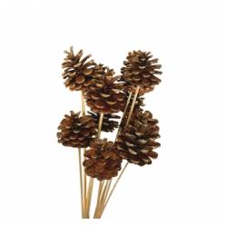 Pick Pias Naturales Doradas 50cm "T10"