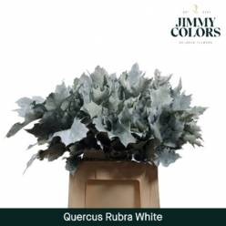 Roble Hol. Ov. Blanco 60cm
