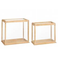 Terrario Earth 30x53x48Hcm (Set 2uds)