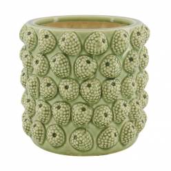 Base Berry Verde 18x17Hcm