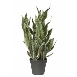 P. Sansevieria Artificial 81cm