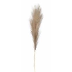 Rama Artificial Pampa Beige 18x120Hcm