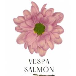 Margarita Nac. Vespa Salmon 75gr