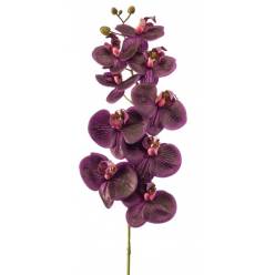 Phalaenopsis Artificial Morado 95Hcm