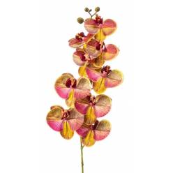 Phalaenopsis Artificial Bicolor 95Hcm