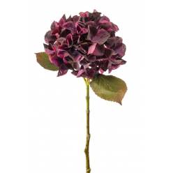 Hortensia Artificial Bella Burgundy 47Hcm