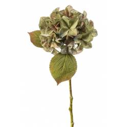 Hortensia Artificial Bella Verde 47Hcm