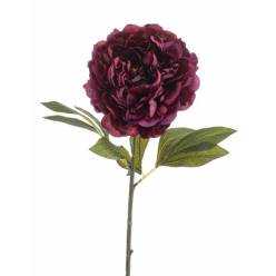 Peonia Artificial Burgundy 77Hcm