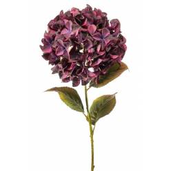 Hortensia Artificial XL Burgundy 90Hcm