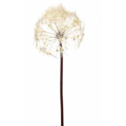 Diente de Leon Artificial Blanco 91Hcm "T6"