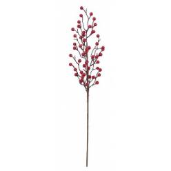Pick Berry 80Hcm
