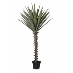 P. Artificial Agave 150Hcm