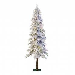 Abeto Westmore con LED 71x215Hcm
