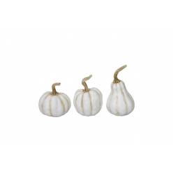 Calabaza Rony Crema "T6"