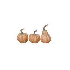 Calabaza Rony Naranja "T6"