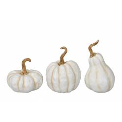 Calabaza Rony Crema "T3"