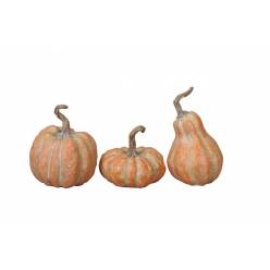 Calabaza Rony Naranja "T3"