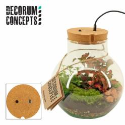 P. Composicin Terrarium Led 19/25cm x4
