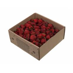 Chili Entero Rojo 250g