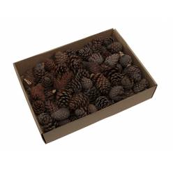 Caja Pias 1.2Kg