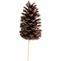 Pick Pias Natural 8x12Hcm "T12"