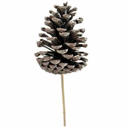 Pick Pias Blancas 8x12Hcm "T12"