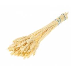 Trigo Seco Crema 70cm 90g