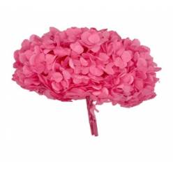Hortensia Preservada Premium Candy Pink 15-20cm