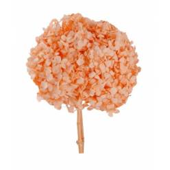 Hortensia Preservada Premium Naranja 15-20cm