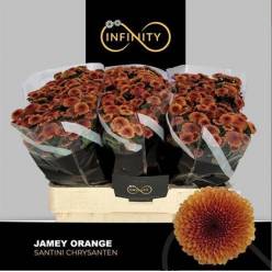 Santini Jamey Orange 950gr "T25"