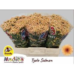 Santini Mad. Tyolo Salmon 900gr "T25"