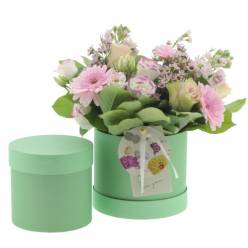 Sombrerera Basicall Verde 12.5x12Hcm