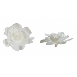 Gardenia Preservada Blanca (3 Cabezas) 6-9cm