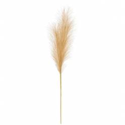 Pampa Artificial Beige 60Hcm
