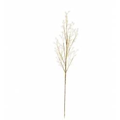 Pick Perle Oro 67Hcm