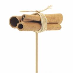Pick Canela 8cm "T10"