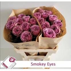 Rosa Hol. Smokey Eyes 60cm
