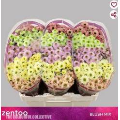 Santini Mixta PP Pastel 1000gr "T25"