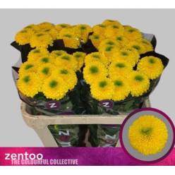 Uniflor Hol. Brasiliana 85gr Ama.