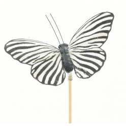 Pick Mariposa Vera Blanco "T25"