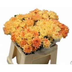 Ramificada Flame 40cm