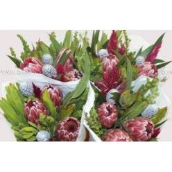 Safari Buquet 3 Proteas 40cm (7 Dias - 2)