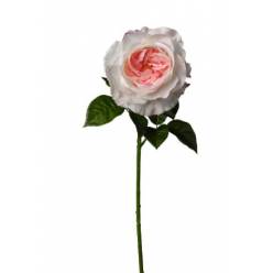 Rosa Inglesa Artificial Bicolor 64cm