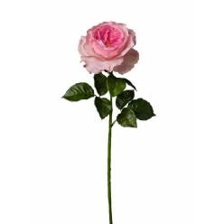 Rosa Inglesa Artificial Rosa 64cm